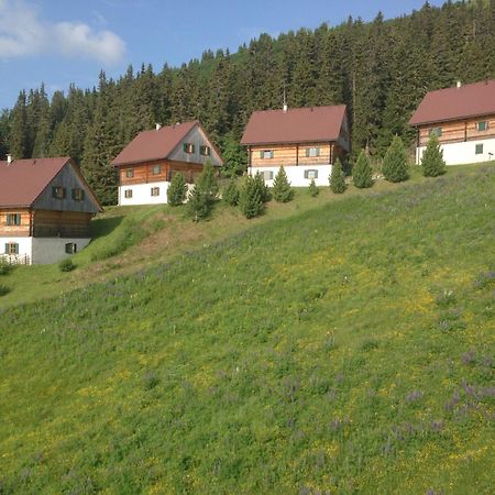Moselebaueralm Vila Klippitztorl Exterior foto