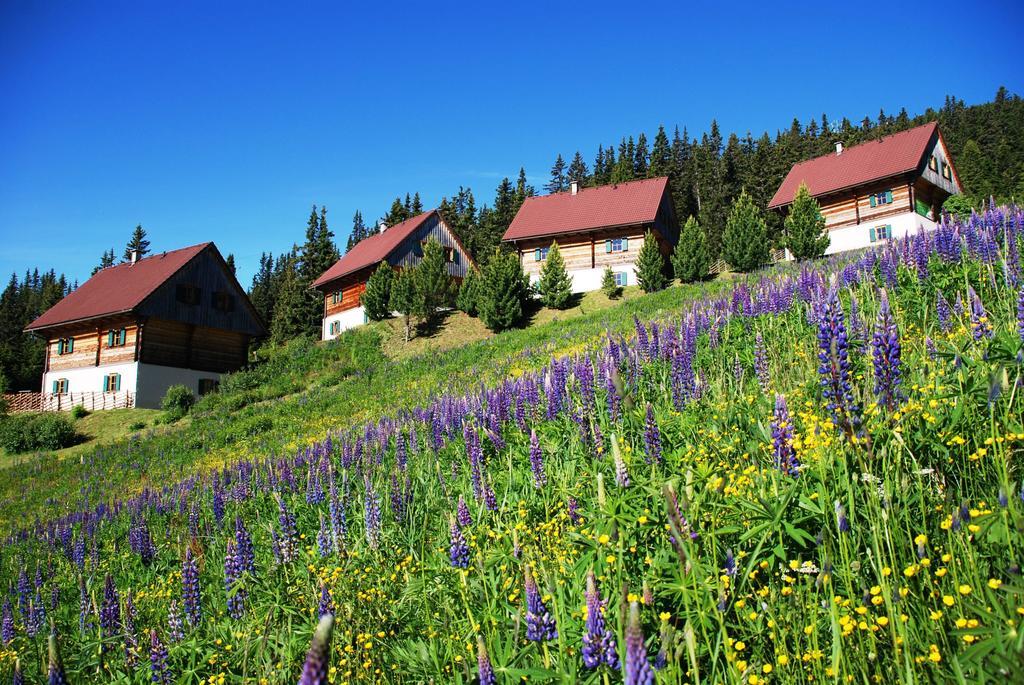 Moselebaueralm Vila Klippitztorl Quarto foto
