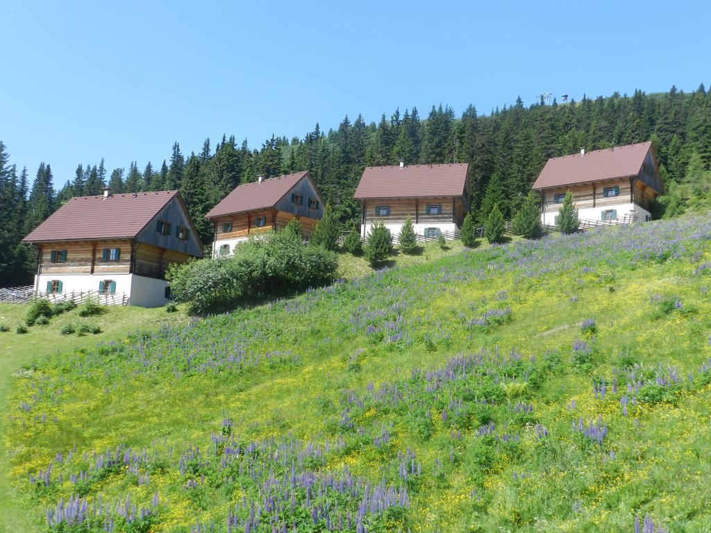 Moselebaueralm Vila Klippitztorl Quarto foto