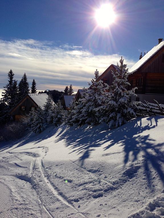Moselebaueralm Vila Klippitztorl Quarto foto